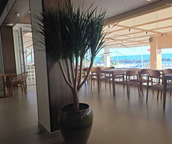 Hotel Kamomil -6